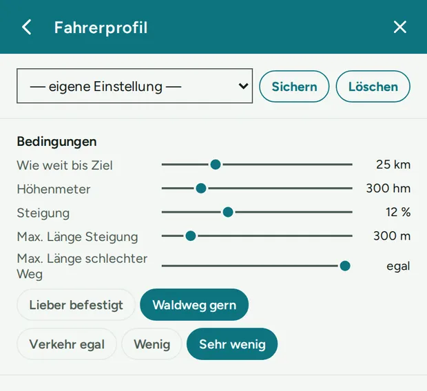 Fahrerprofil mit den Bedingungen.